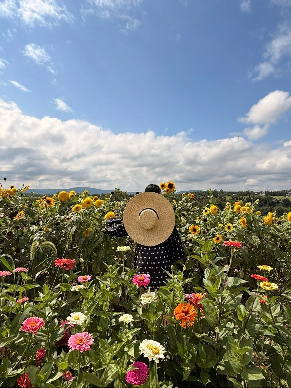Very Wide-brimmed Straw Hat With Chin Strap Ribbons, Summer Wide-brimmed Hat